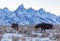 Bull Moose with Tetons