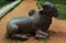 Bull-Nandhi-statue in the thanjavur maratha palace