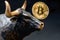 Bull pokes up bitcoin with its snout. Bullish trend concept.