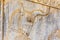 Bull relief detail Persepolis