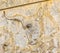 Bull relief detail Persepolis