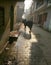 A bull is roaming in an alley of the locality. All the people are scared and are locked in the house.