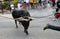 Bull run celebration in Mallorca, Spain.