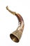 Bull\'s Hollow horn