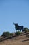 Bull-shaped billboard in Spain