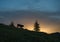 Bull silhouette in front of a sunrise