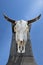 Bull skull hanging on a concrete pillar