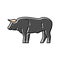 bull standing animal color icon vector illustration