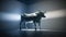 a bull standing in a room with a light shining on it\\\'s face and a tile floor in front of it and a wa