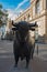 Bull Statue at the Frankfurt Stock Exchange