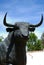 Bull statue outside the bullring, Ronda, Spain.