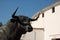 Bull statue in Spain