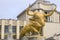 Bull statue - Trocadera - Paris