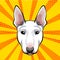 Bull terrier head, face, muzzle. Dog breed. Vector.