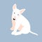 Bull Terrier puppy vector illustration style Flat