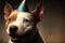 A Bull Terrier\\\'s Happy Birthday on an Anniversary Celebration - A Heartfelt Greeting Card