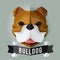 Bulldog