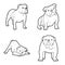 Bulldog Animal Vector Illustration Hand Drawn Cartoon Art