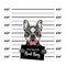 Bulldog Bad boy. Dog prison. Police mugshot background. Bulldog criminal. Arrested dog. Vector.