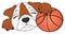 Bulldog with ball of basketball