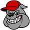 Bulldog with Baseball Cap