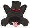 Bulldog in black hat