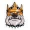 Bulldog in a crown. Vector illustration of a popular animal cartoon. Angry animal. domestic pet