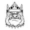 Bulldog in a crown. Vector illustration of a sketch popular animal cartoon. Angry animal. domestic pet