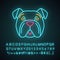 Bulldog cute kawaii neon light character