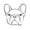 Bulldog dog animal french illustration pet breed cute drawing puppy