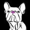 Bulldog dog animal french illustration pet breed cute drawing puppy