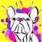 Bulldog dog animal french illustration pet breed cute drawing puppy