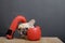Bulldog dog covered with red boxing gloves is hiding while sitting on a gray background at a wooden table.