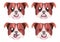 Bulldog dog facial expression emoticon with eyes and mouth collection of cartoon isolated illustration
