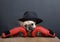 A bulldog dog with a funny sad muzzle and in red leather boxing gloves sits at a wooden table.