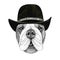 Bulldog dog head hand drawn illustration. Wild animal wearing cowboy hat Wild west