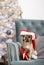 A bulldog dog in a Santa Claus hat sits with a red star in a chair in anticipation of Christmas and the New Year.