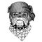 Bulldog, dog. Wild animal wearing pirate bandana. Brave sailor. Hand drawn image for tattoo, emblem, badge, logo, patch