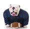 Bulldog football player