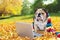 Bulldog with a laptop in autumn