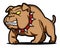 Bulldog logo cartoon design illustration