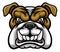 Bulldog Mean Sports Mascot