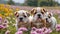 bulldog puppies among flowers