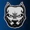 Bulldog red Annimal head logo mascot icon vector