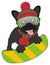 Bulldog riding on the snowboard