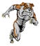 Bulldog sports mascot running