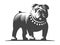 Bulldog vector illustration on white background