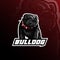 Bulldog vector mascot logo design with modern illustration concept style for badge, emblem and tshirt printing. angry bulldog