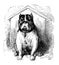 Bulldog watch dog, old print