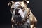 Bulldog wearing gold chain collar. Pet. Illustration, Generative AI